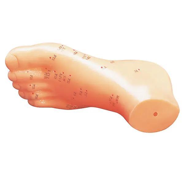 Preview: Akupunkturmodelle aus Kunststoff