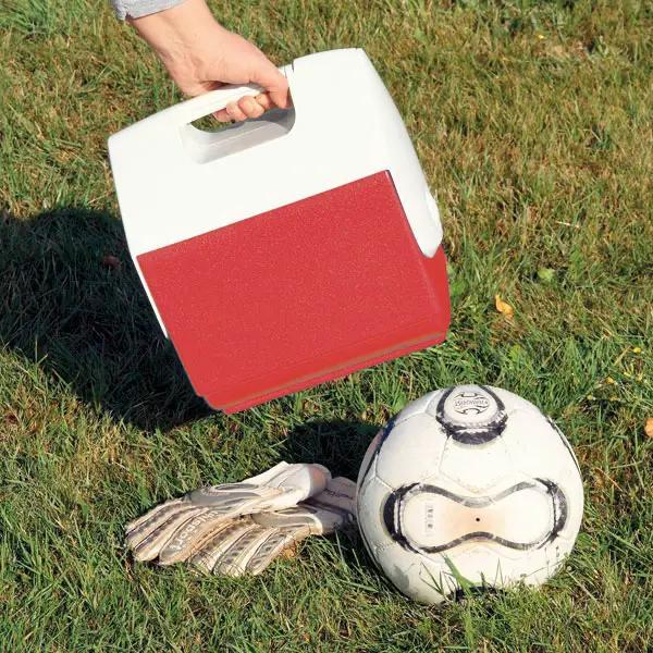 Cool Box - Kältebox mit schwenkbarem Deckel, Kühlung für 8 Stunden, 6,6 Liter Volumen