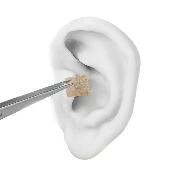 Preview: Dongbang Ohr Dauernadeln