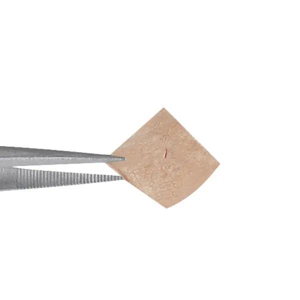 Preview: Dongbang Ohr Dauernadeln