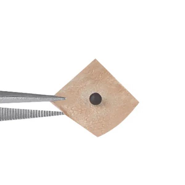 Preview: Dongbang Ohrsamen