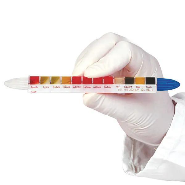 Entero Testtubes/Enteropluri - Zur Identifizierung von u.a. Enterobacteriaceae