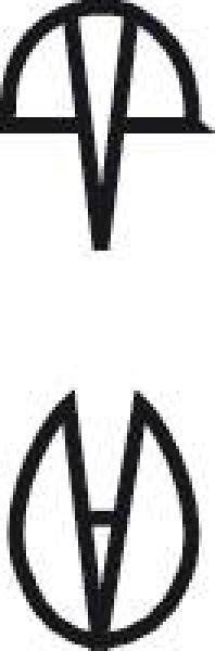 Preview: HALSTED Arterienklemme (Mosquitoklemme) - gerade, fein, 1x2 Zähne, 125mm