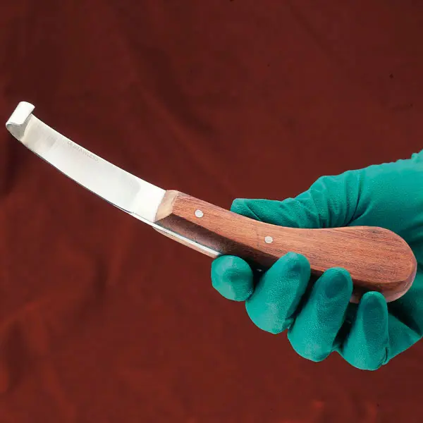Hufmesser für Linkshänder - zur Verbesserung der Hufhygiene, aus hochwertigem Stahl