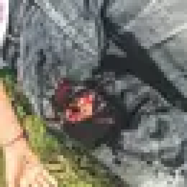 Preview: Wound Packing Trainer - Notfalltraining