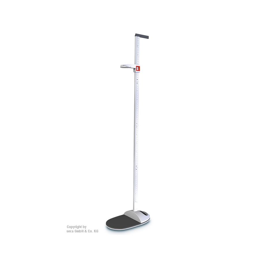 SECA 217 - Messstab - Messbereich 20-205 cm, Zerlegung in Einzelteile möglich