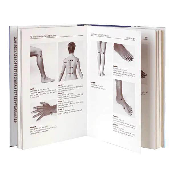 Buch "Akupunkt-Impuls-Therapie" - Hinweise zur Behandlung mit Piezoelektr. Impulsstiften