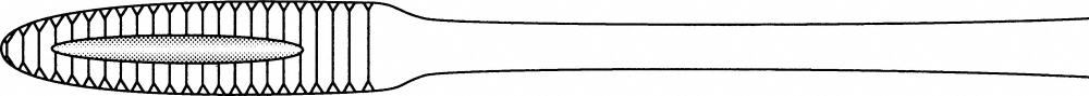 Aesculap MAIER Korn-, Tupfer-, Schwammzange, 26 cm - gerade, Maul gerieft